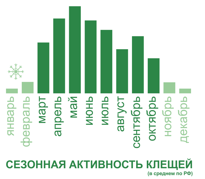 Акарицидная обработка от клещей территории и участков в Барнауле. Цены